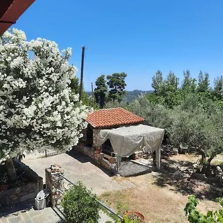 House With View أغيا باراسكيفي