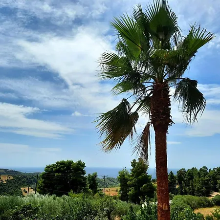 House With View