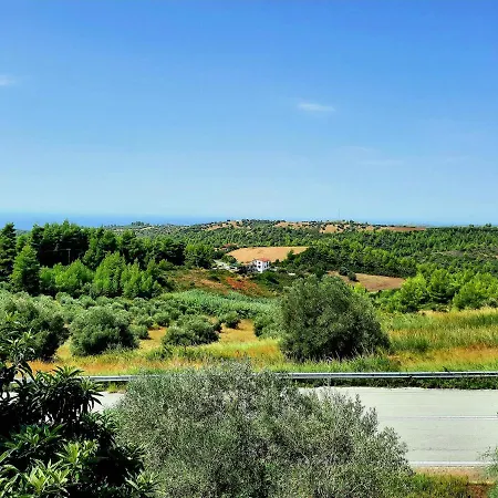House With View