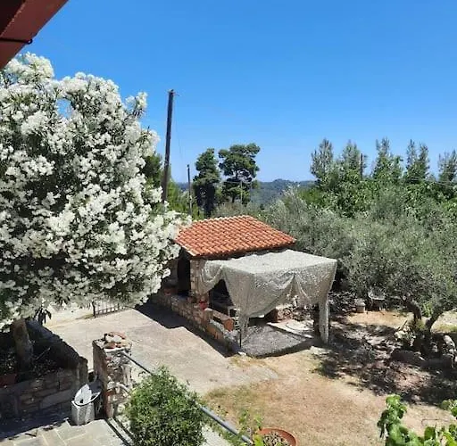 House With View 아기아 파라스케비