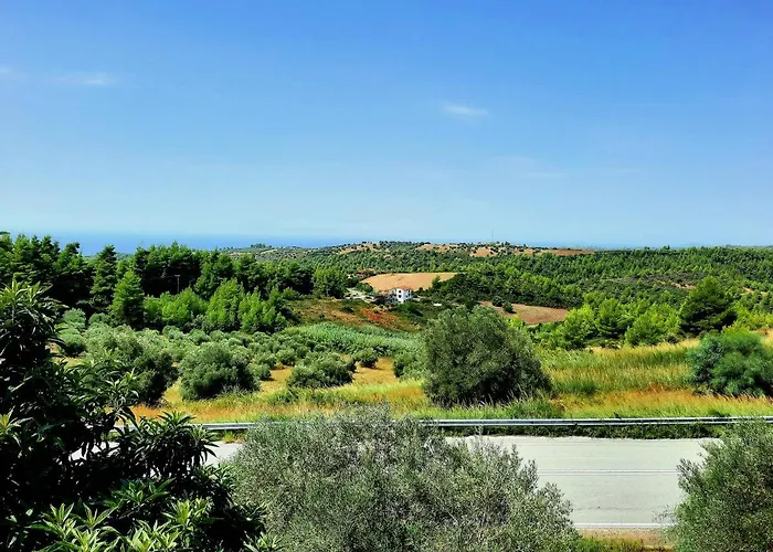 House With View